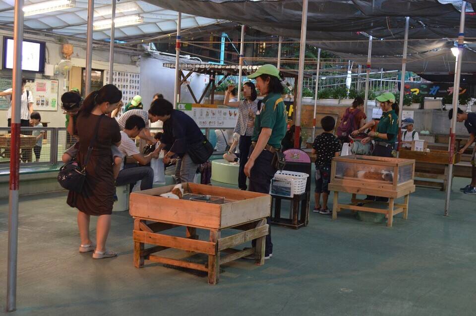 なかよし広場 (2).jpg