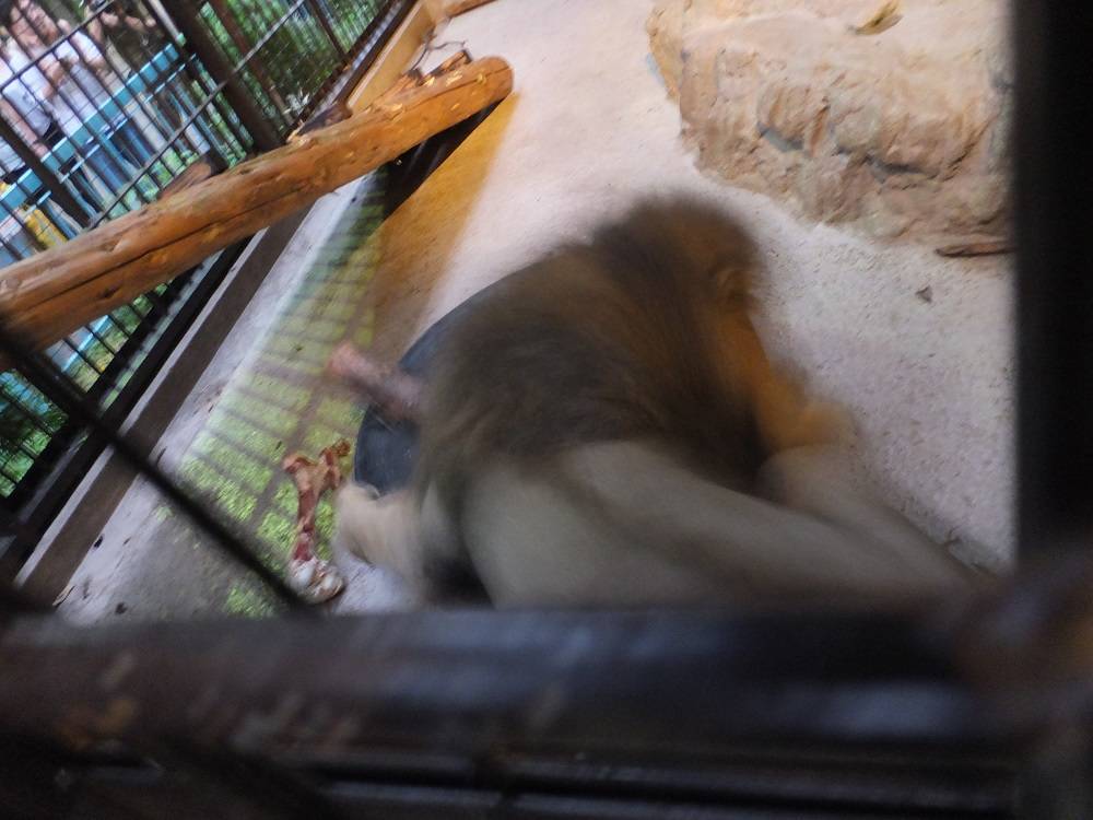 2016 ブログ トピック 08174.jpg