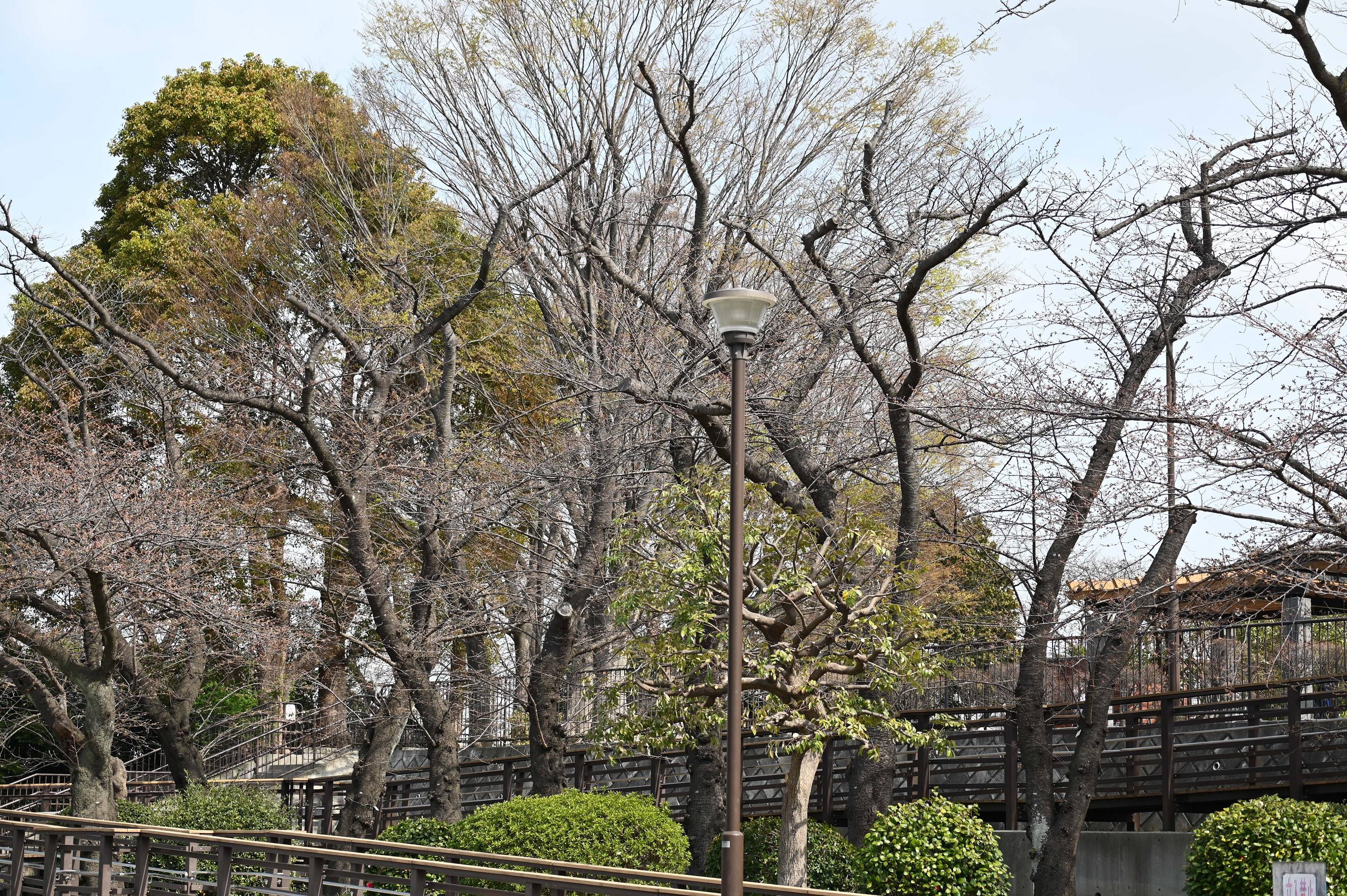 遊具広場.jpg