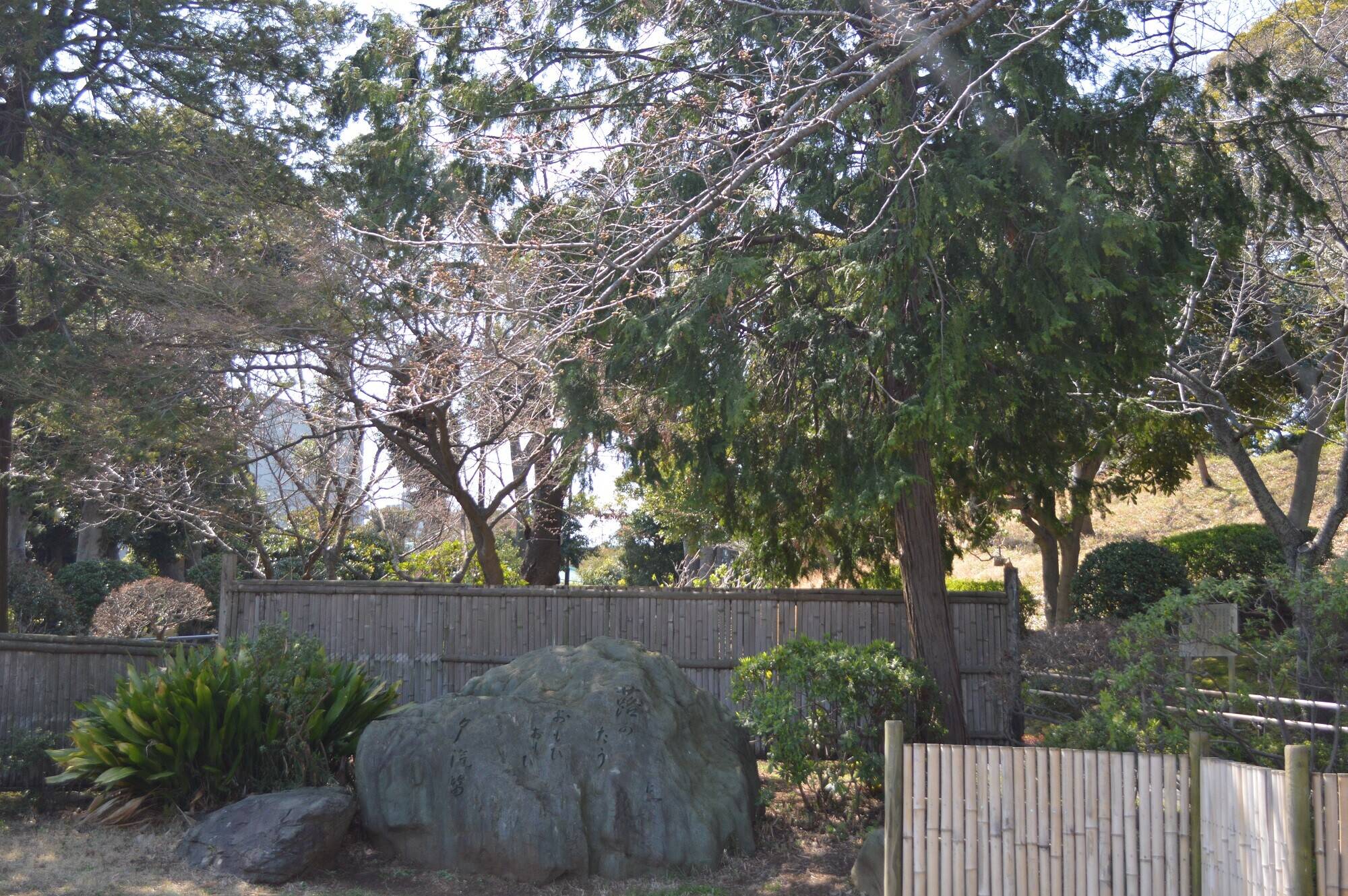野毛山公園の桜開花情報 3月19日 桜開花 野毛山動物園公式サイト 公益財団法人 横浜市緑の協会