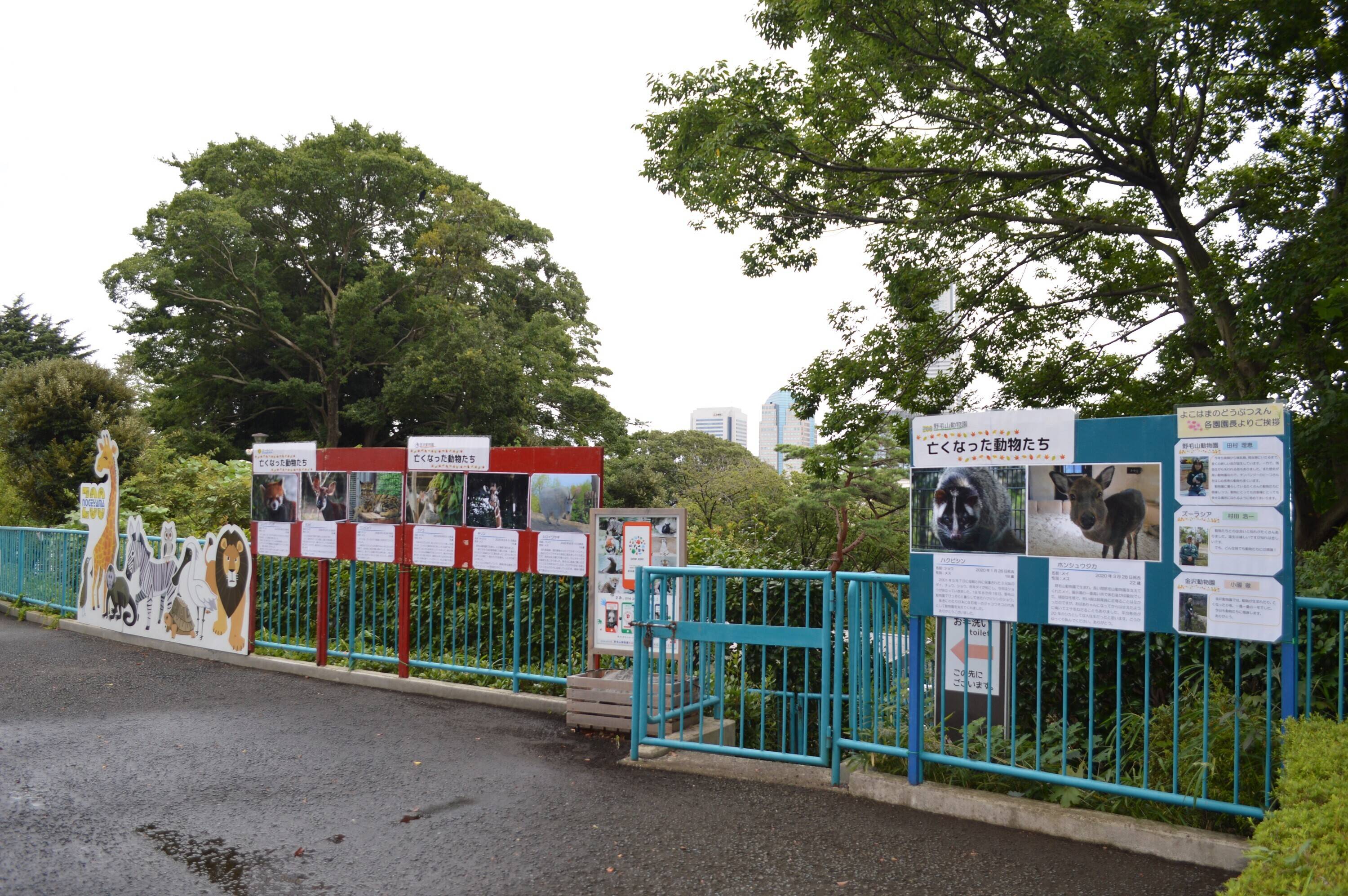 パネル展 (3).jpg