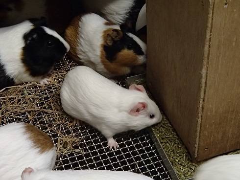 2016 ブログ なかよし 071410.jpg