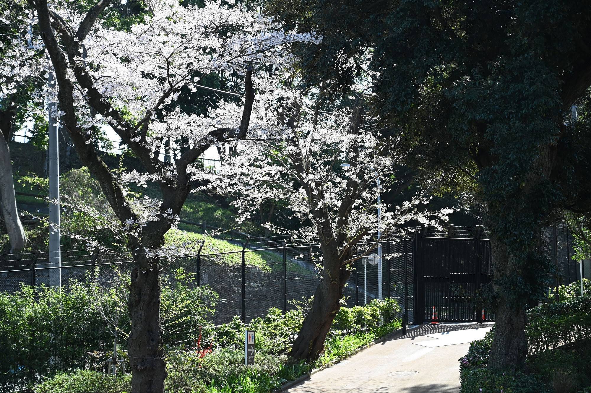 大池前.jpg