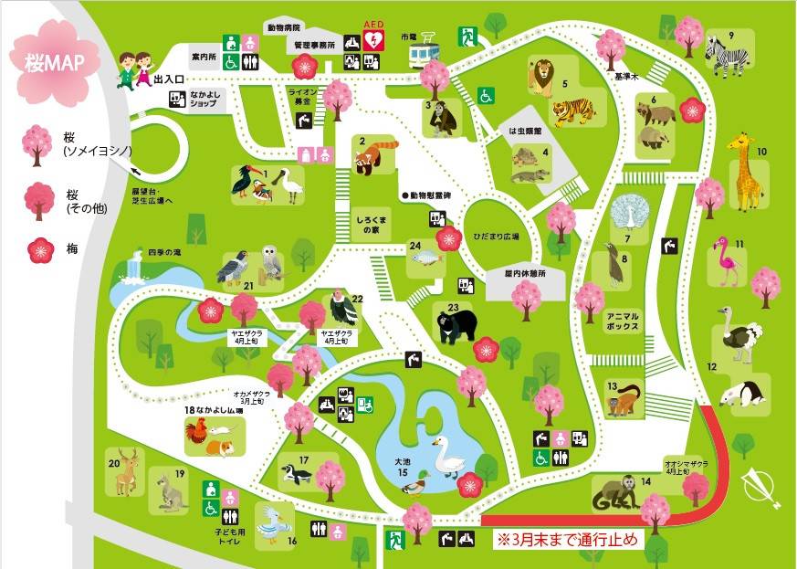 SAKURAMAP.jpg