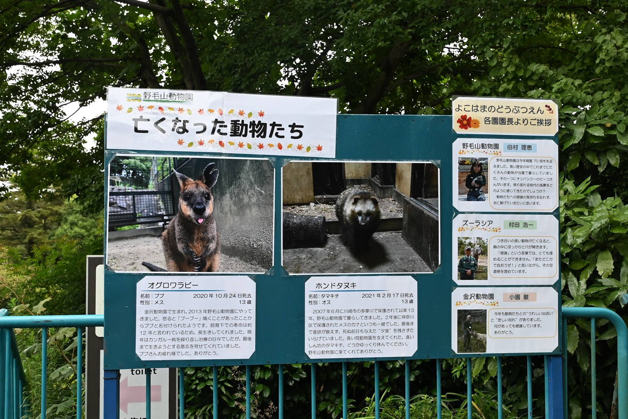(野毛山:亡くなった動物たち)園長コメント.jpg