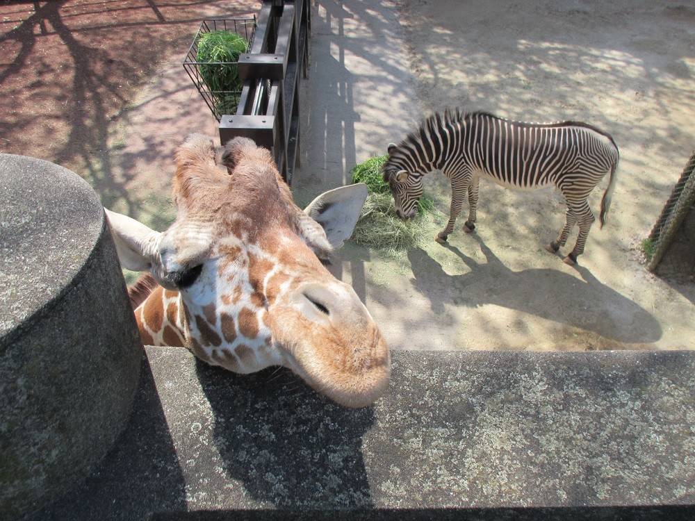 2016 ブログ トピック 1112 10.jpg