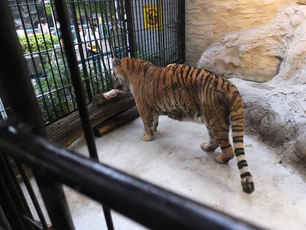 2016 ブログ トピック 08177.jpg