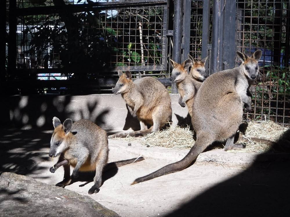 2016 ブログ トピック 0206②.jpg