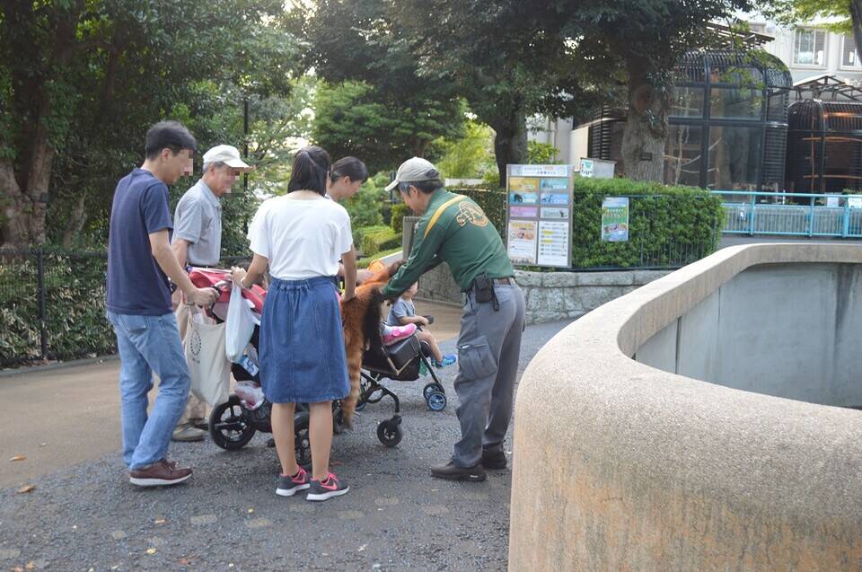 レッサーパンダ.jpg