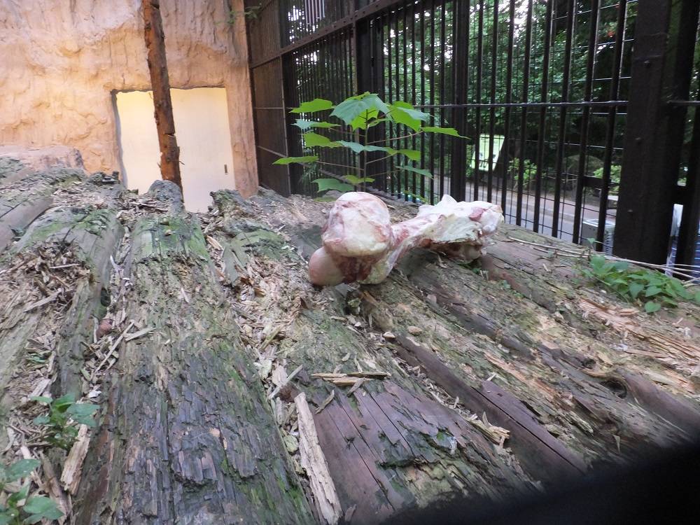 2016 ブログ トピック 08172.jpg