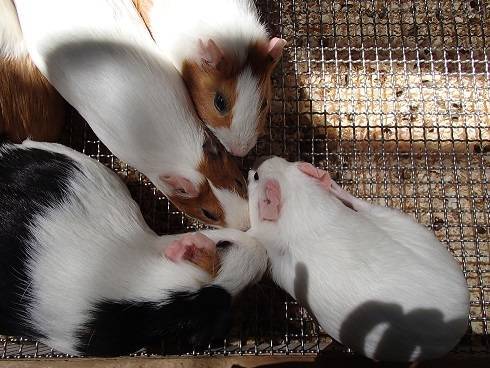 2016 ブログ なかよし 071403.jpg