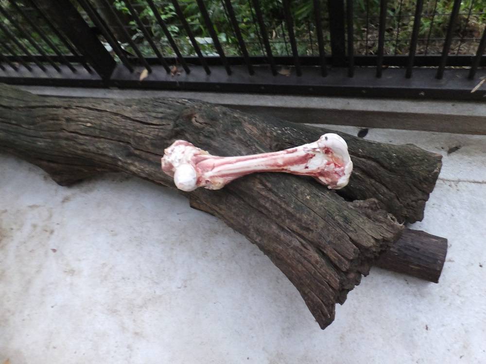 2016 ブログ トピック 08176.jpg