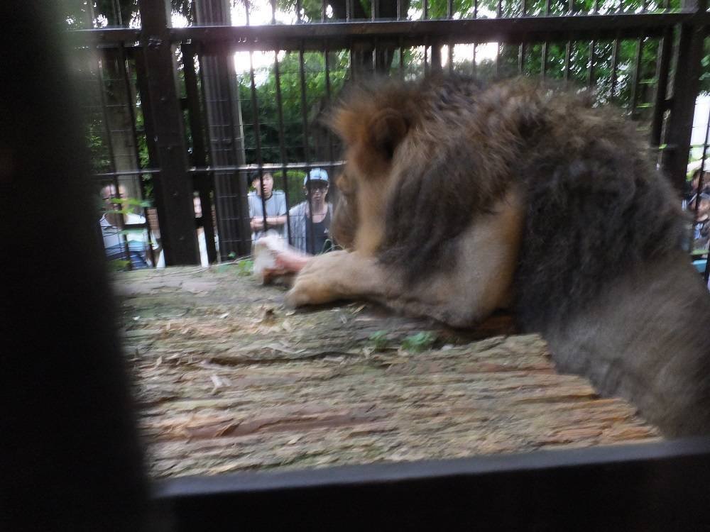 2016 ブログ トピック 08173.jpg