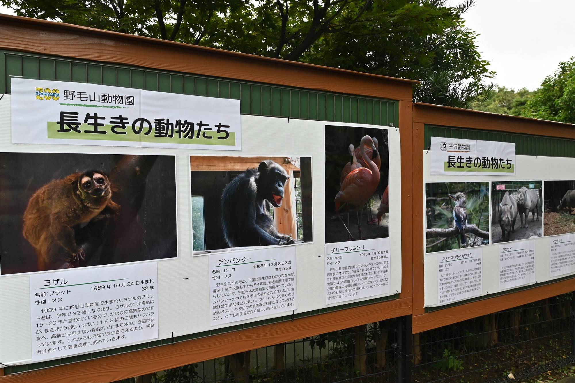 (野毛山:長生きの動物たち).jpg