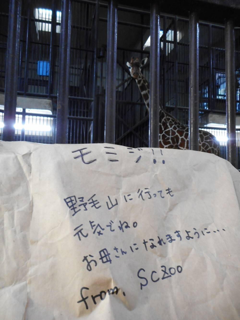 2016 ブログ トピック 1112 11.jpg