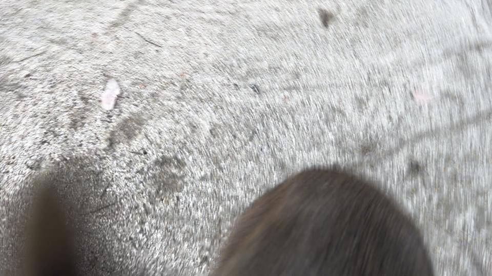 バロンの飛び蹴り (5).jpg