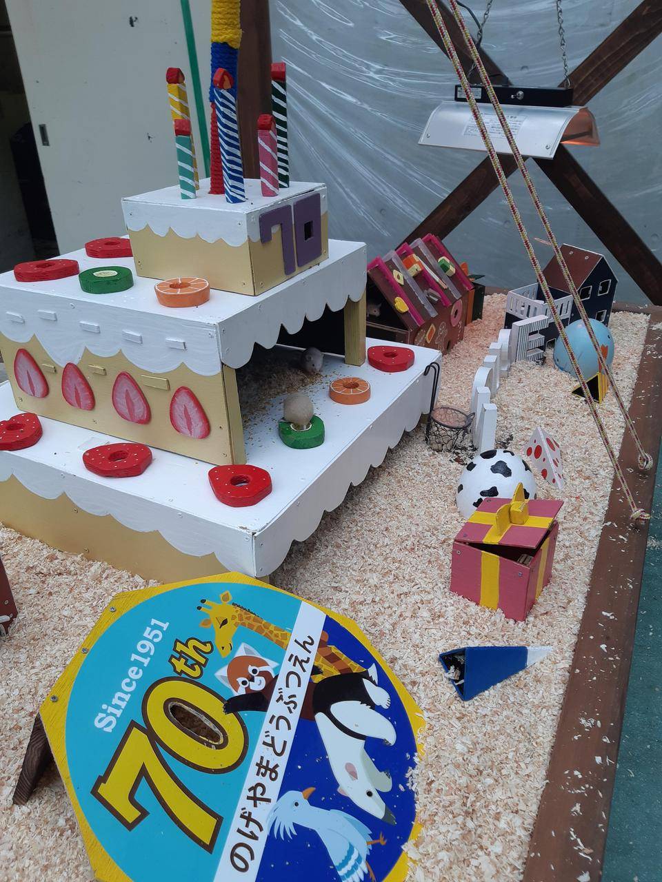 70周年記念展示