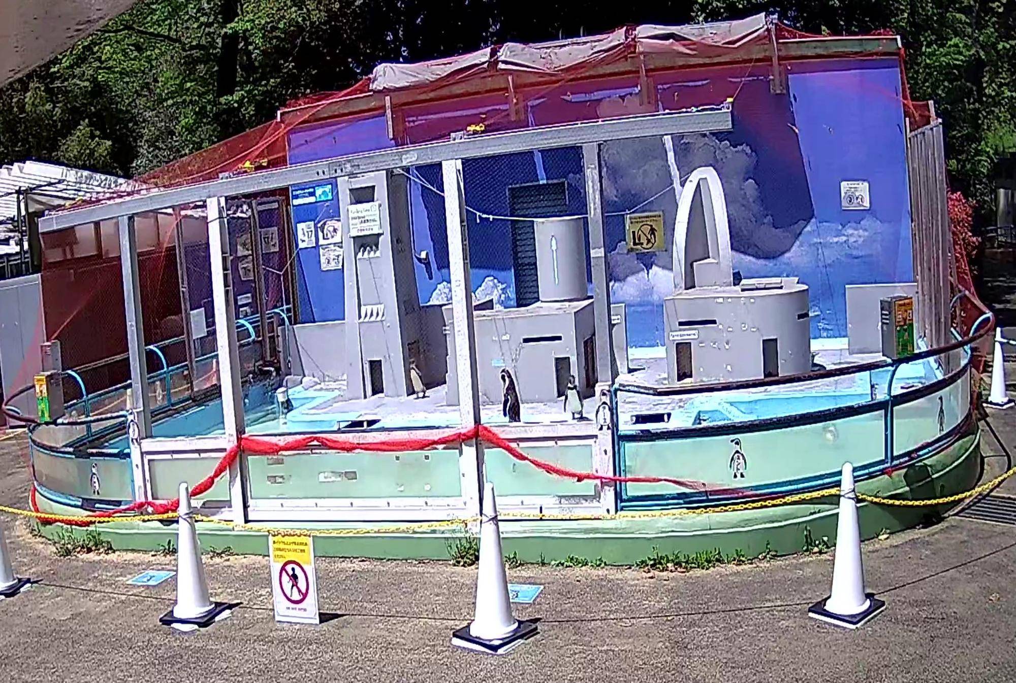 日除けをつける前のペンギンの展示場.jpg
