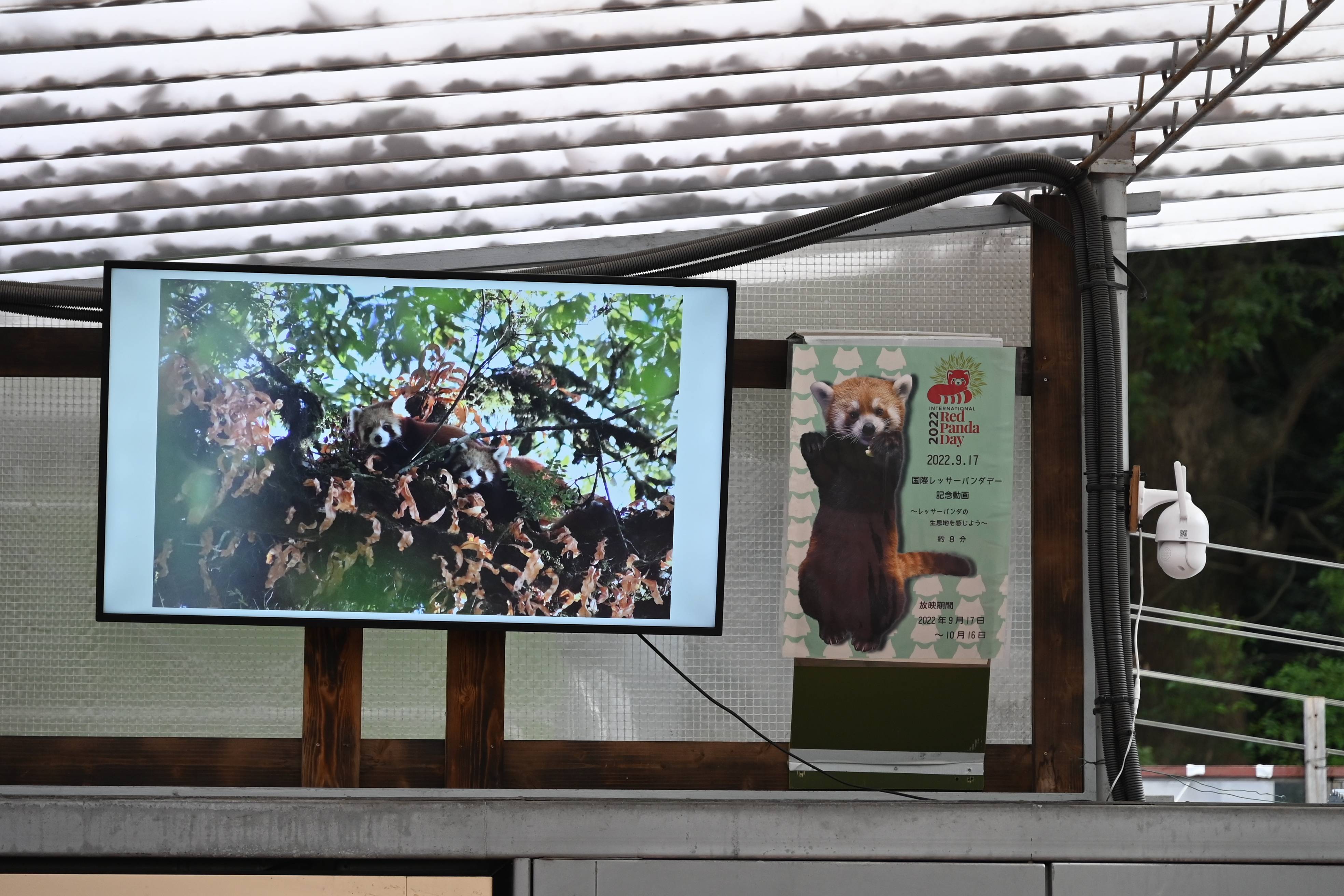 休憩所モニターアップ.jpg