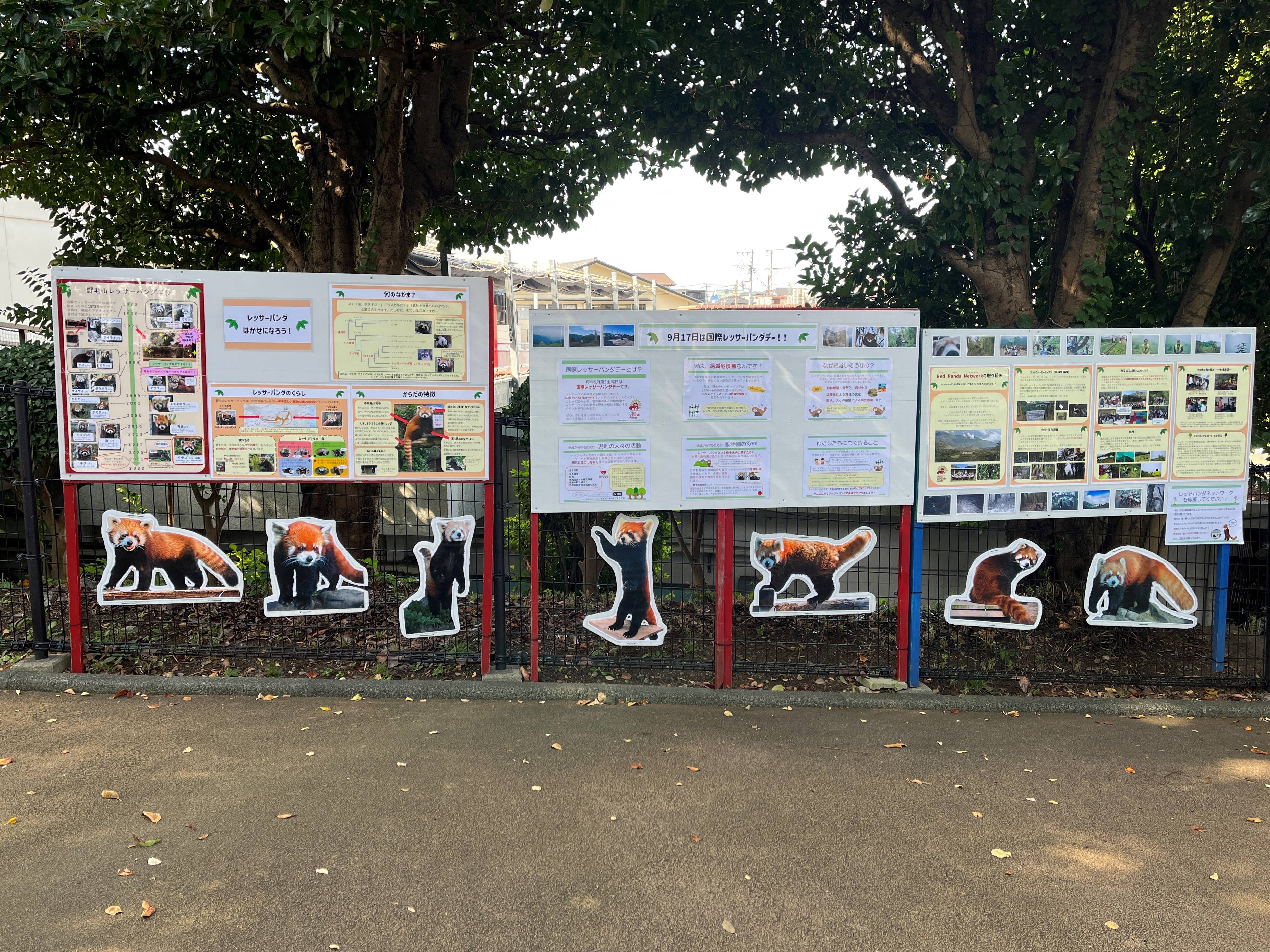 都会の近くなのに野生動物がいっぱい！クパチーノの自然公園