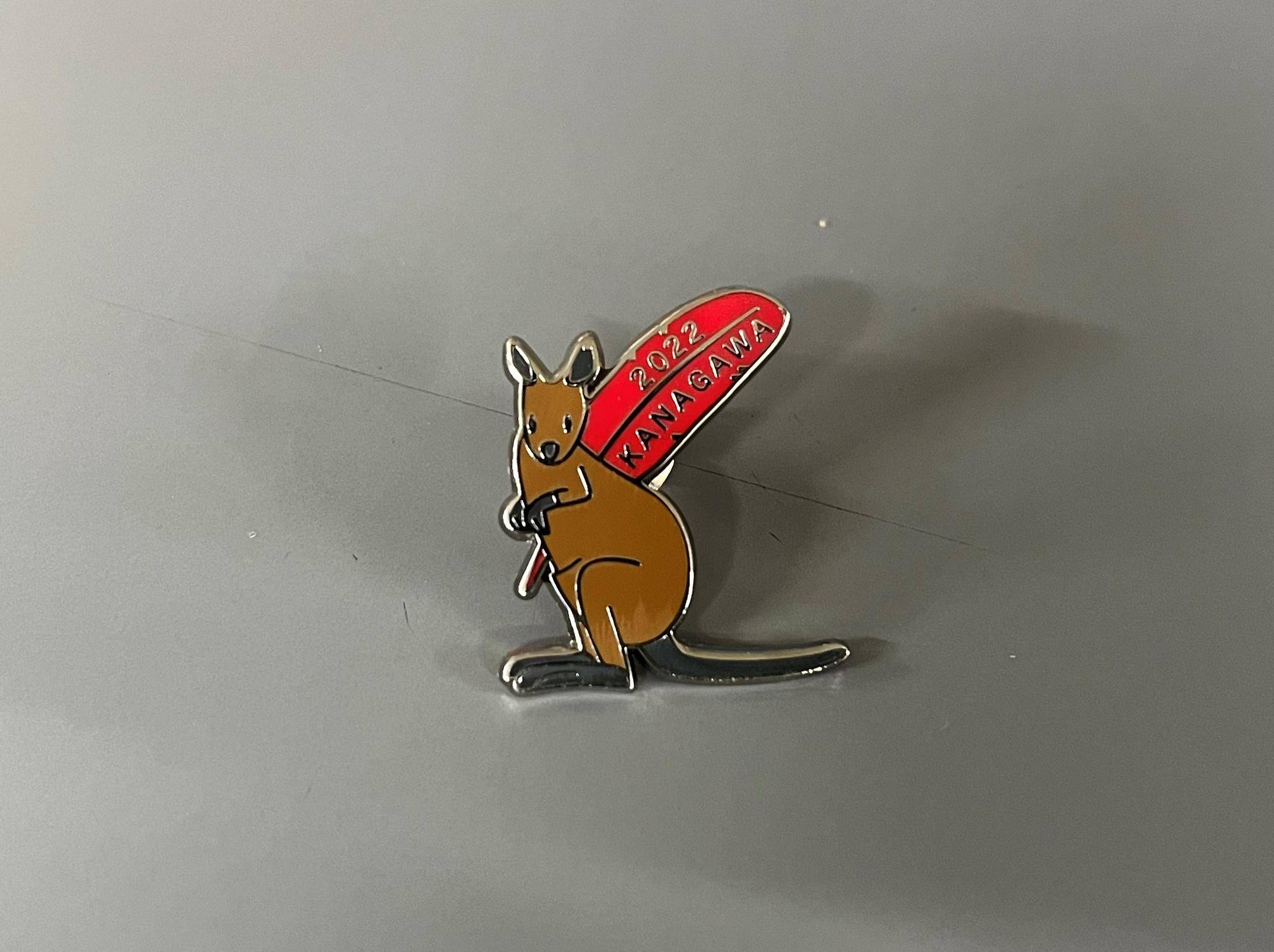 ピンバッチ.jpg