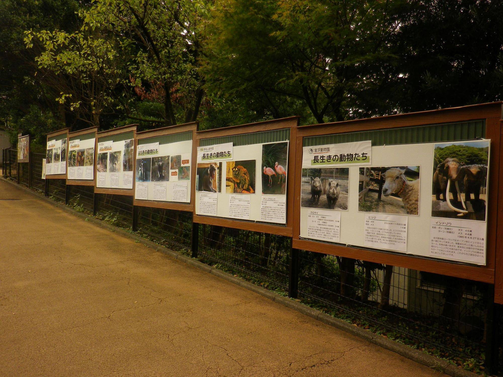 動物感謝祭パネル全景.jpg