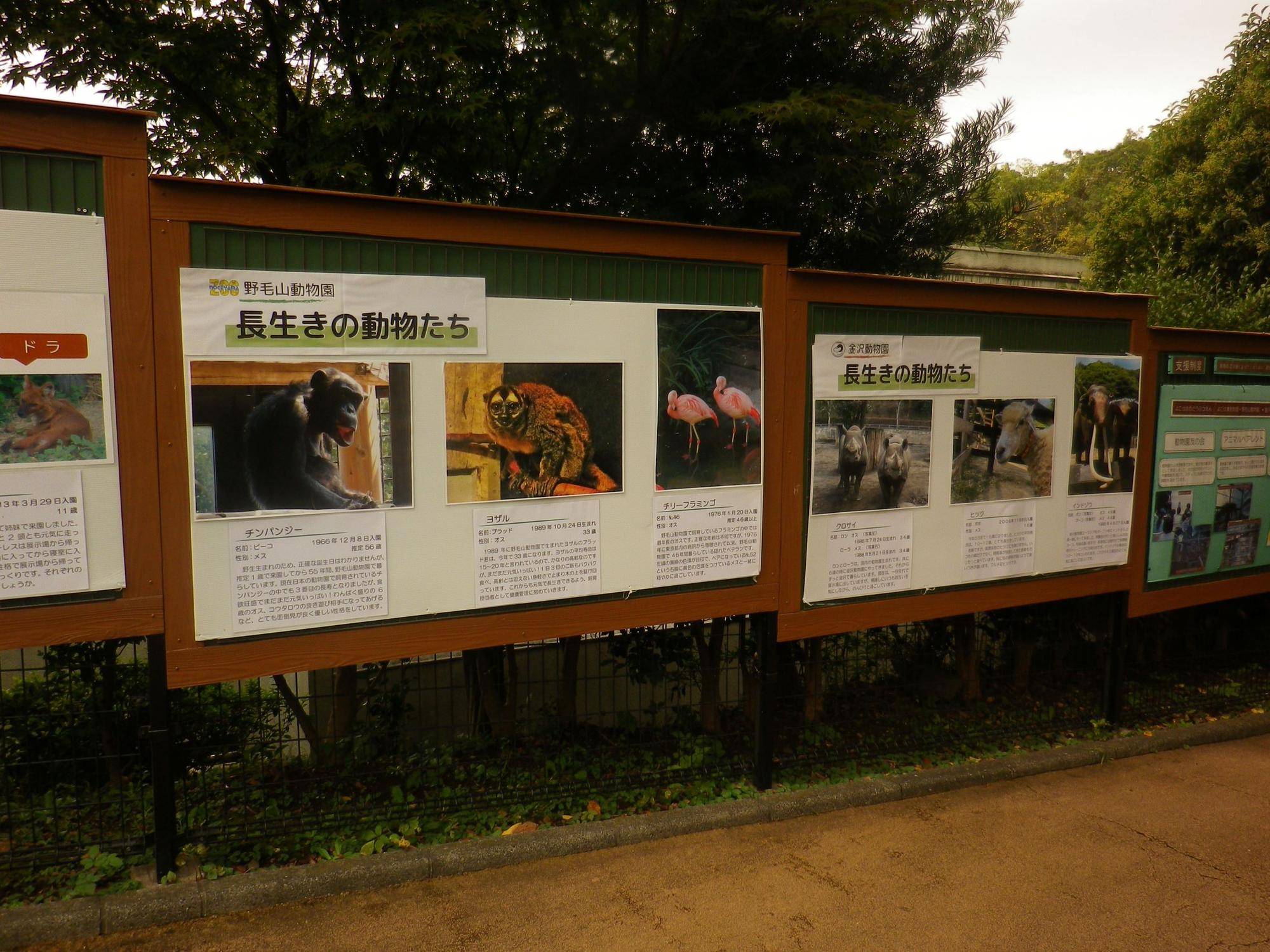 長生きの動物たちパネル.jpg