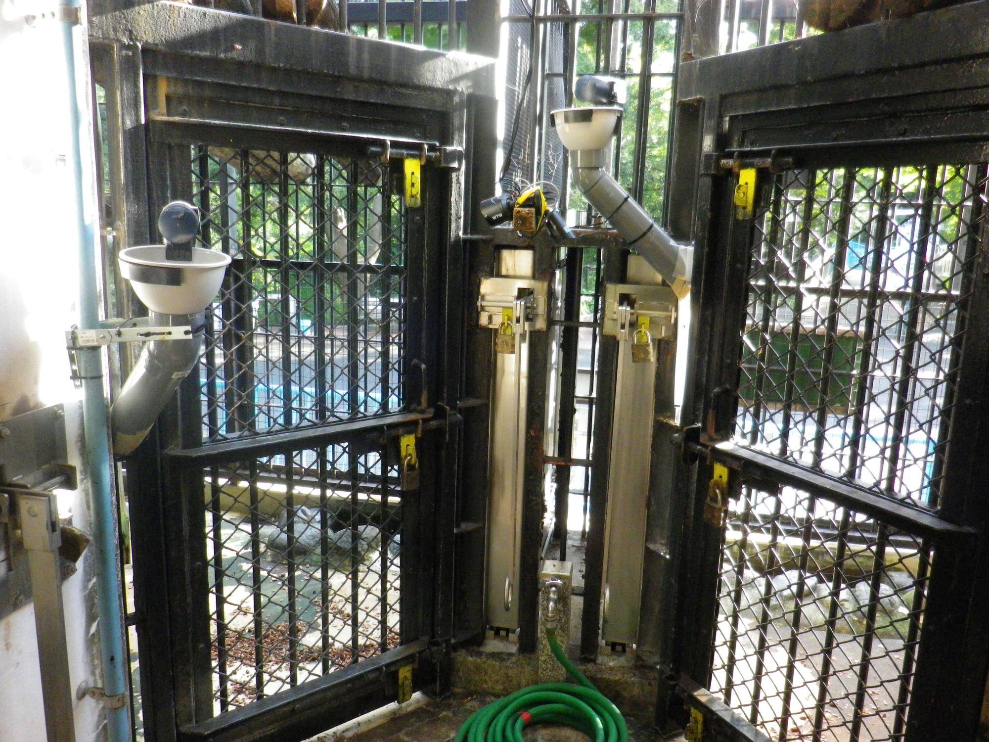 自動給餌機下の段.jpg