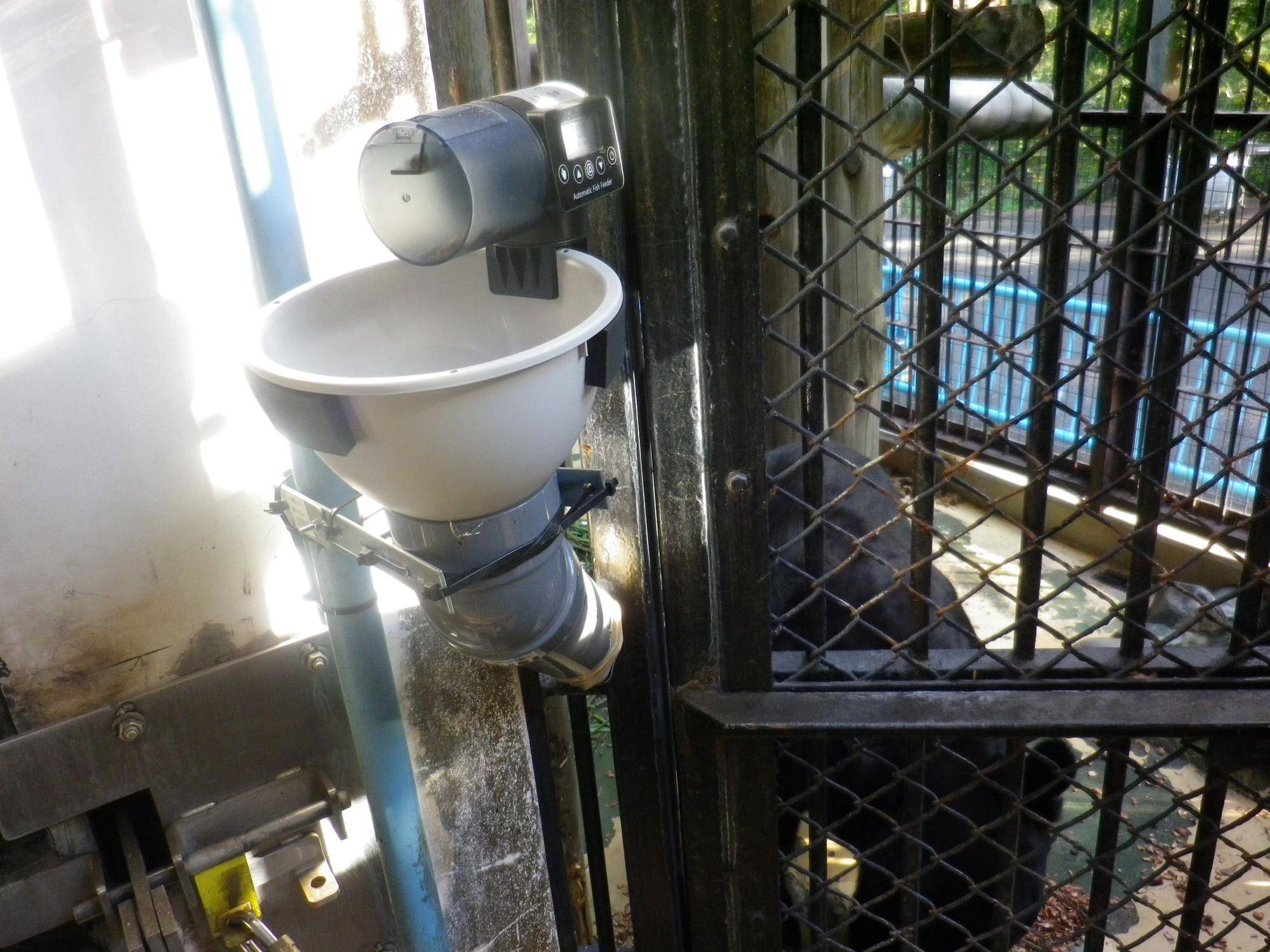 自動給餌機下の段アップ.jpg