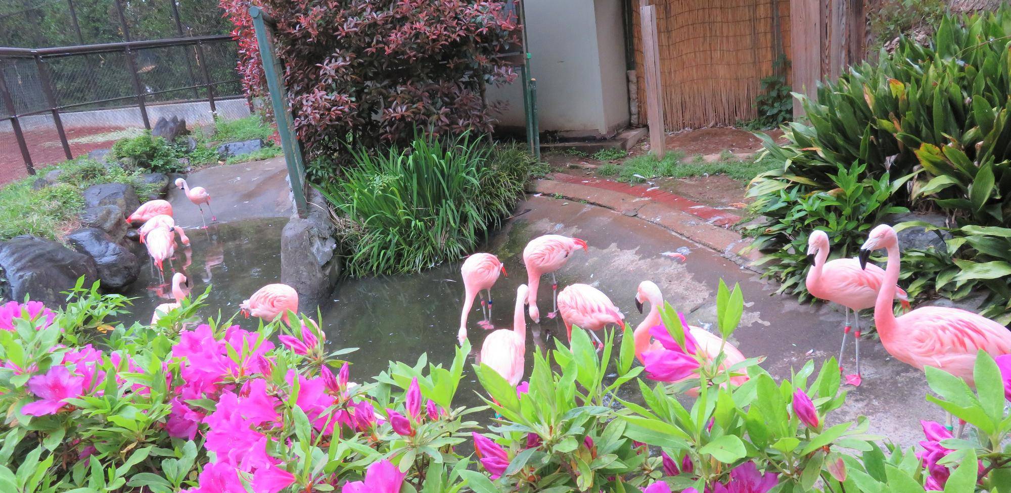 両足立ち (2).jpg