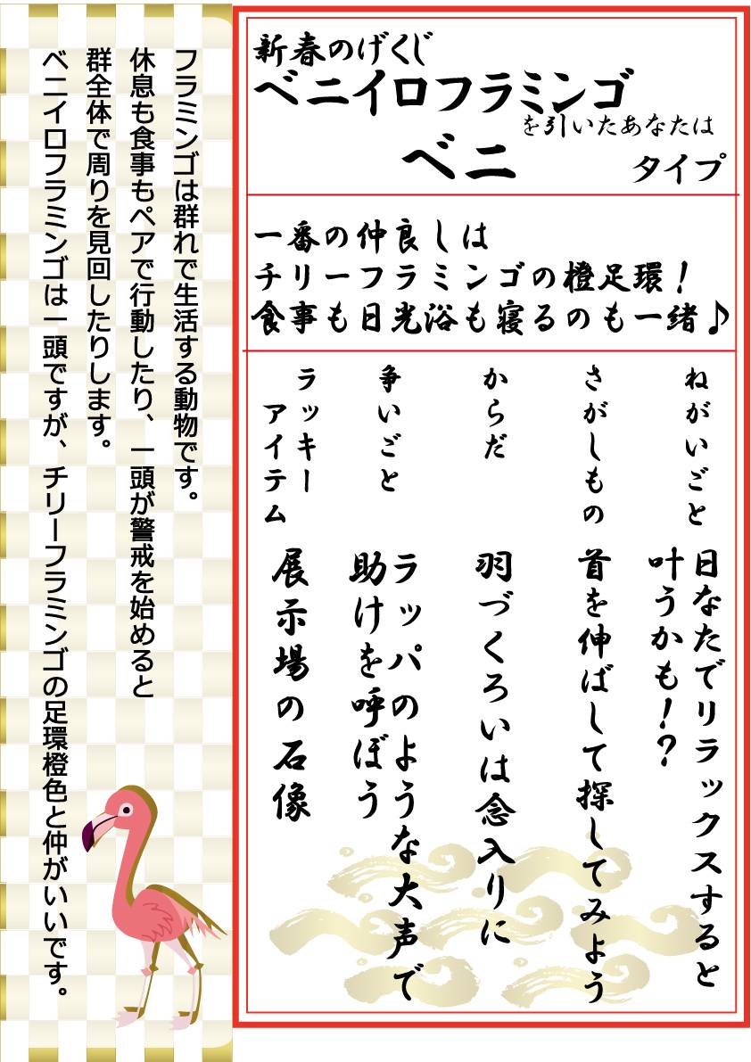 ★のげくじ縦-ベニイロフラミンゴ.jpg