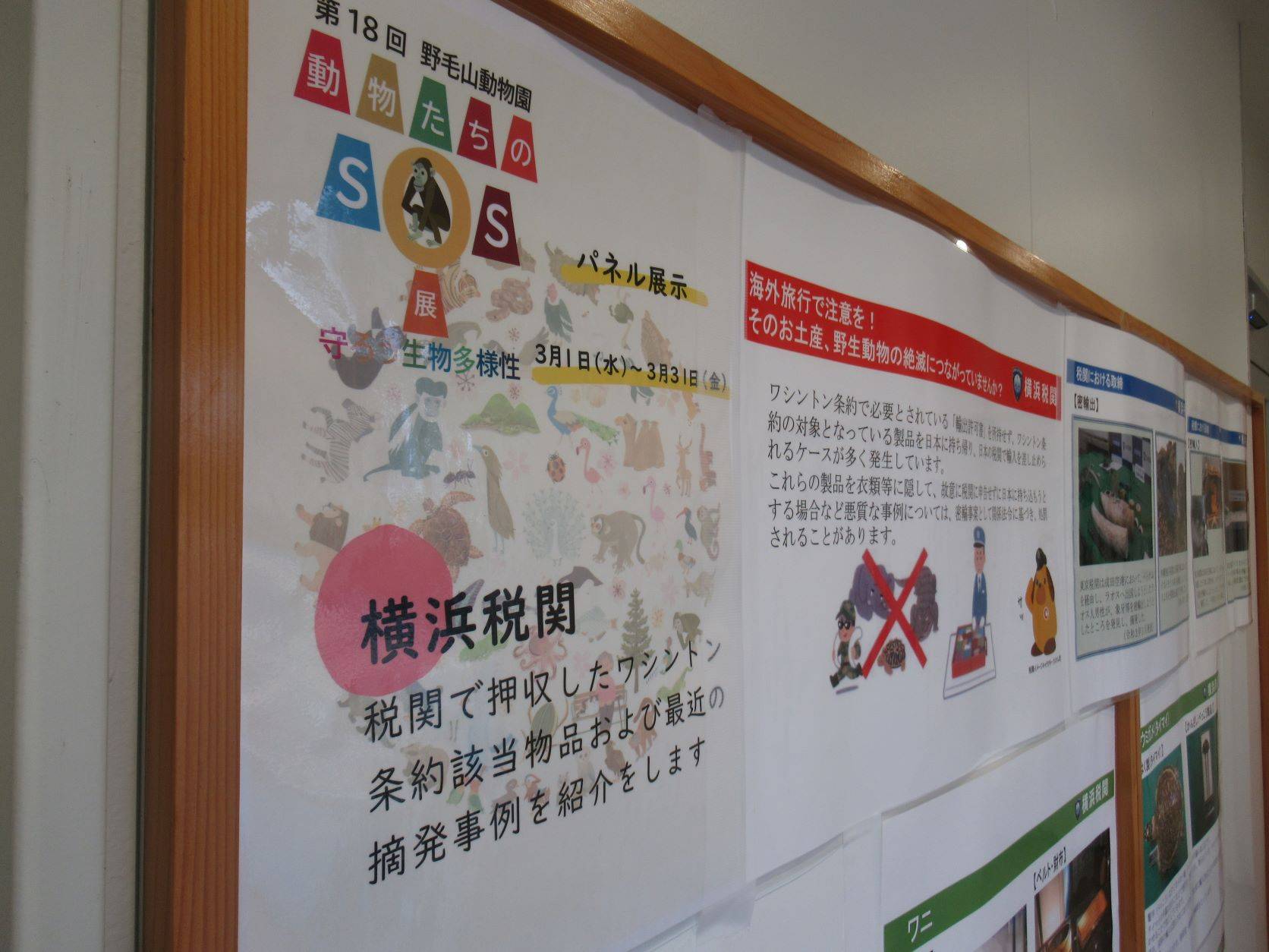 横浜税関のパネル.jpg