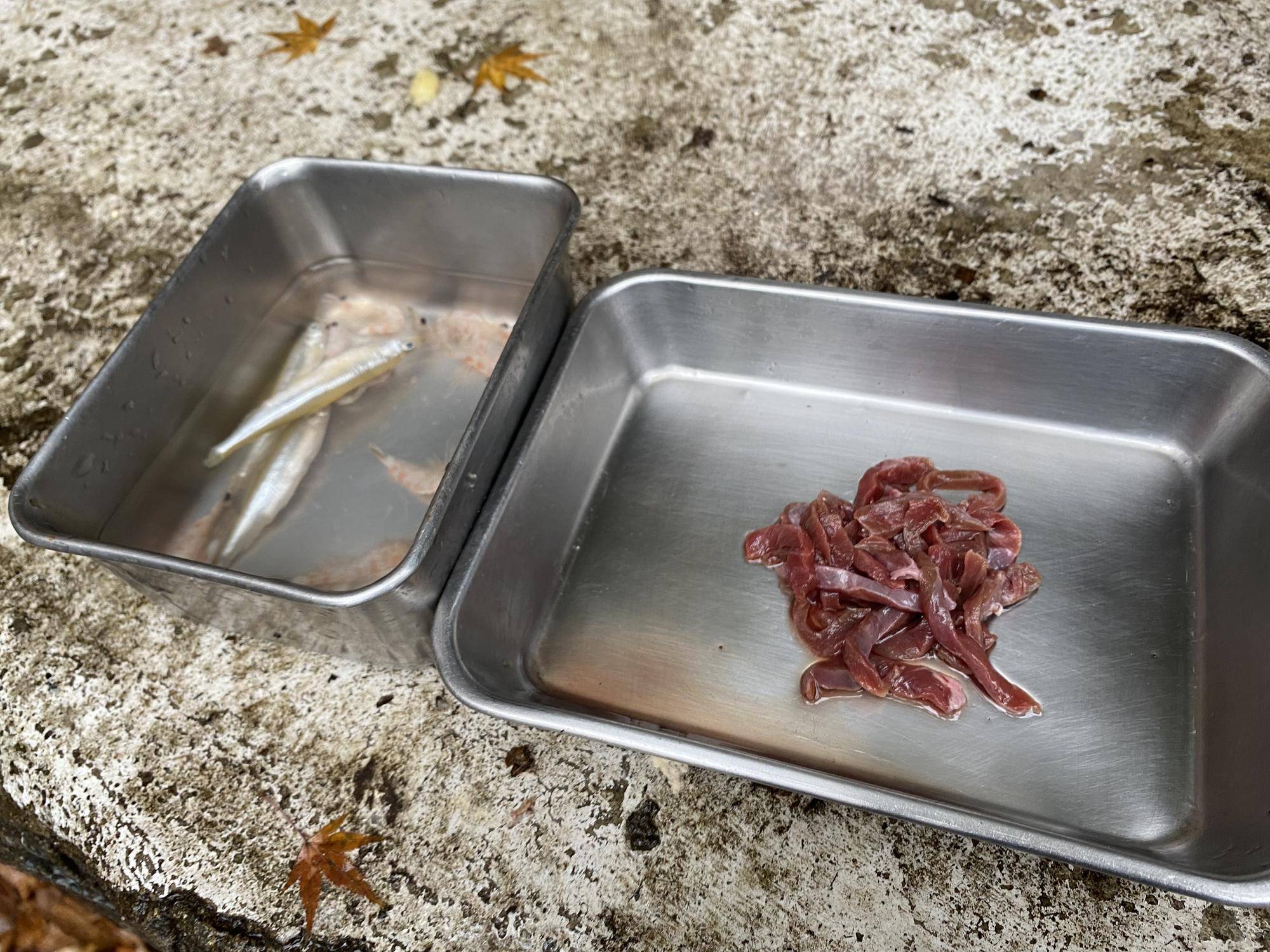 午前中の餌 牛ハツ、ワカサギ、オキアミ.jpg