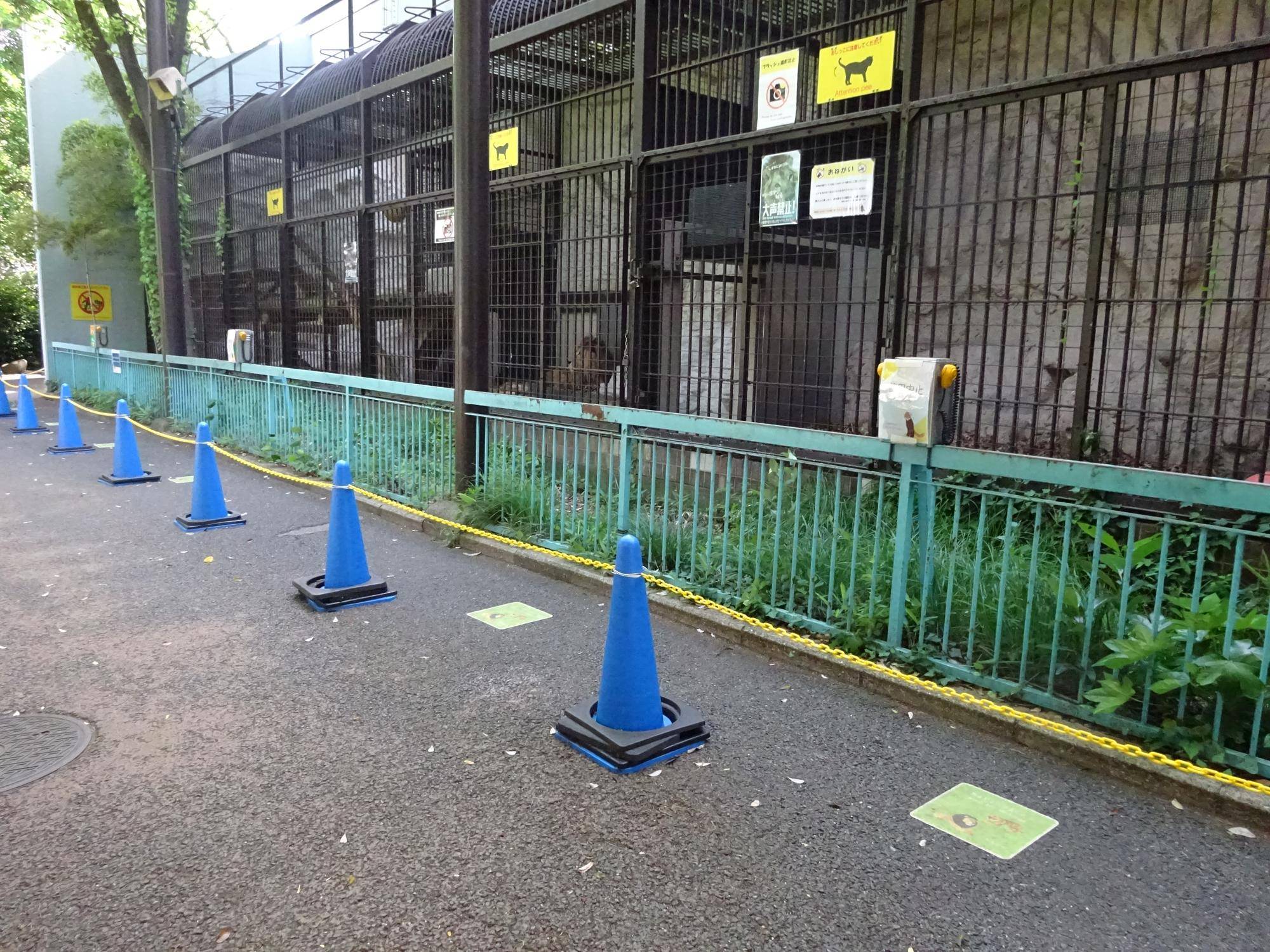 10カラーコーンの人止め柵.jpg