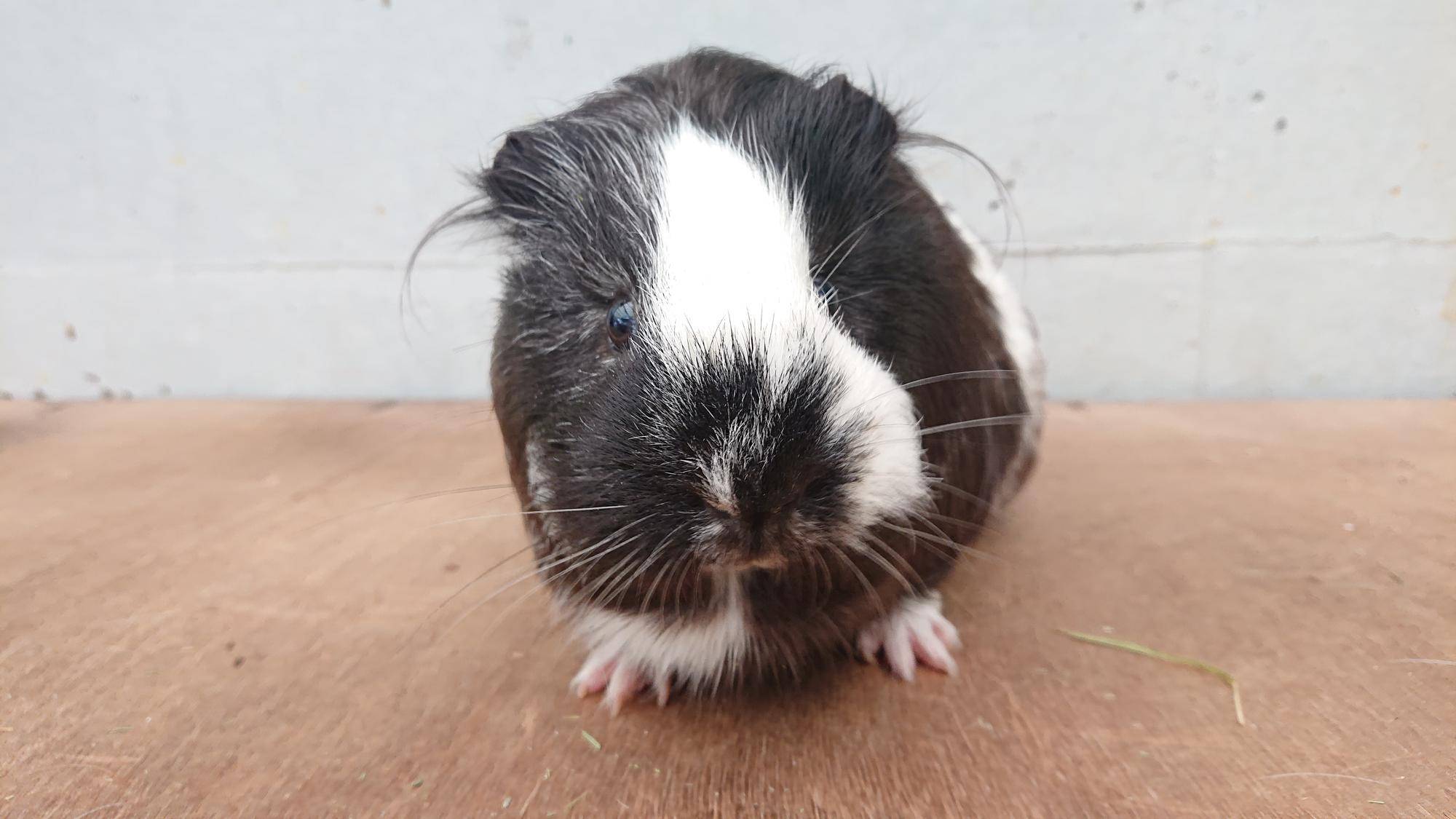 シータ 正面.jpg