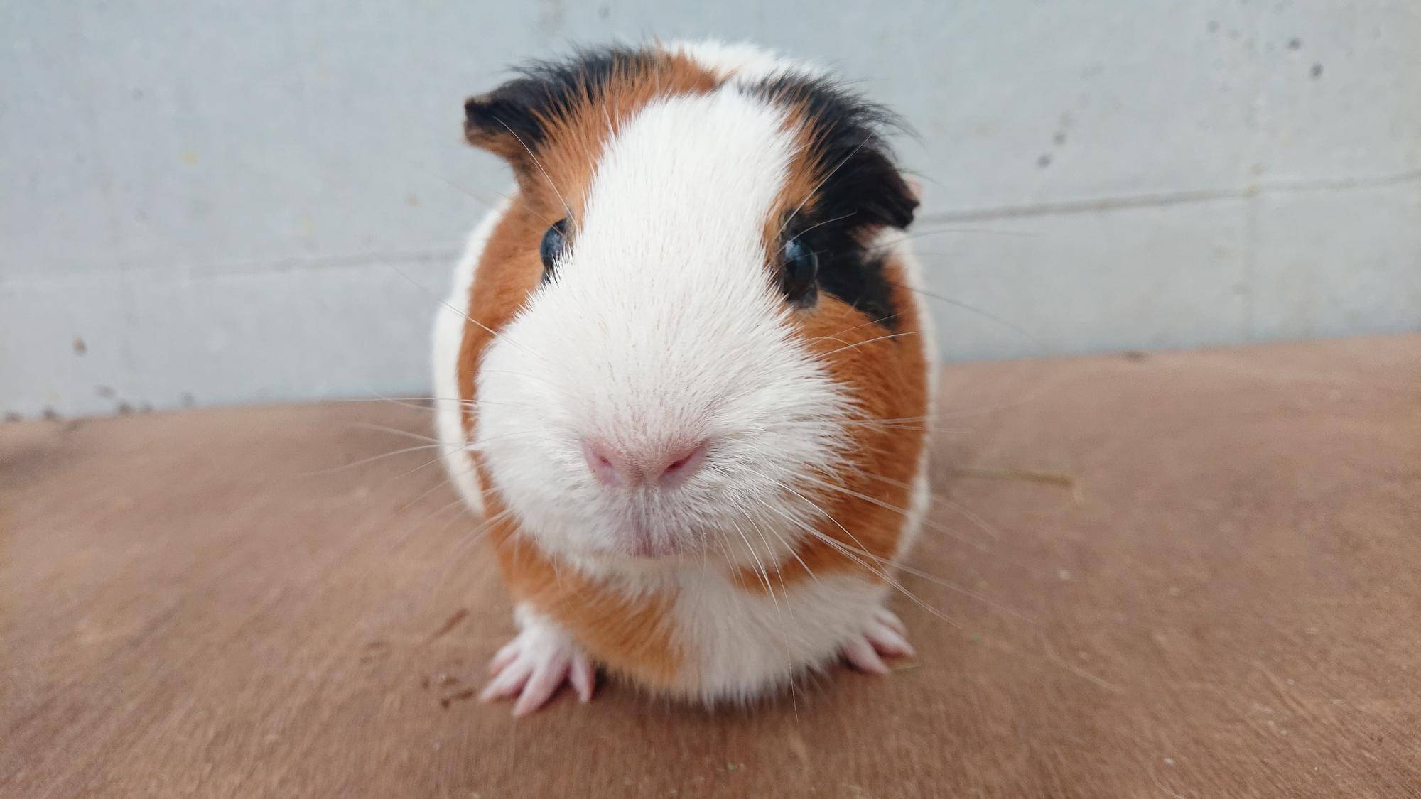 ムーラン 正面.jpg