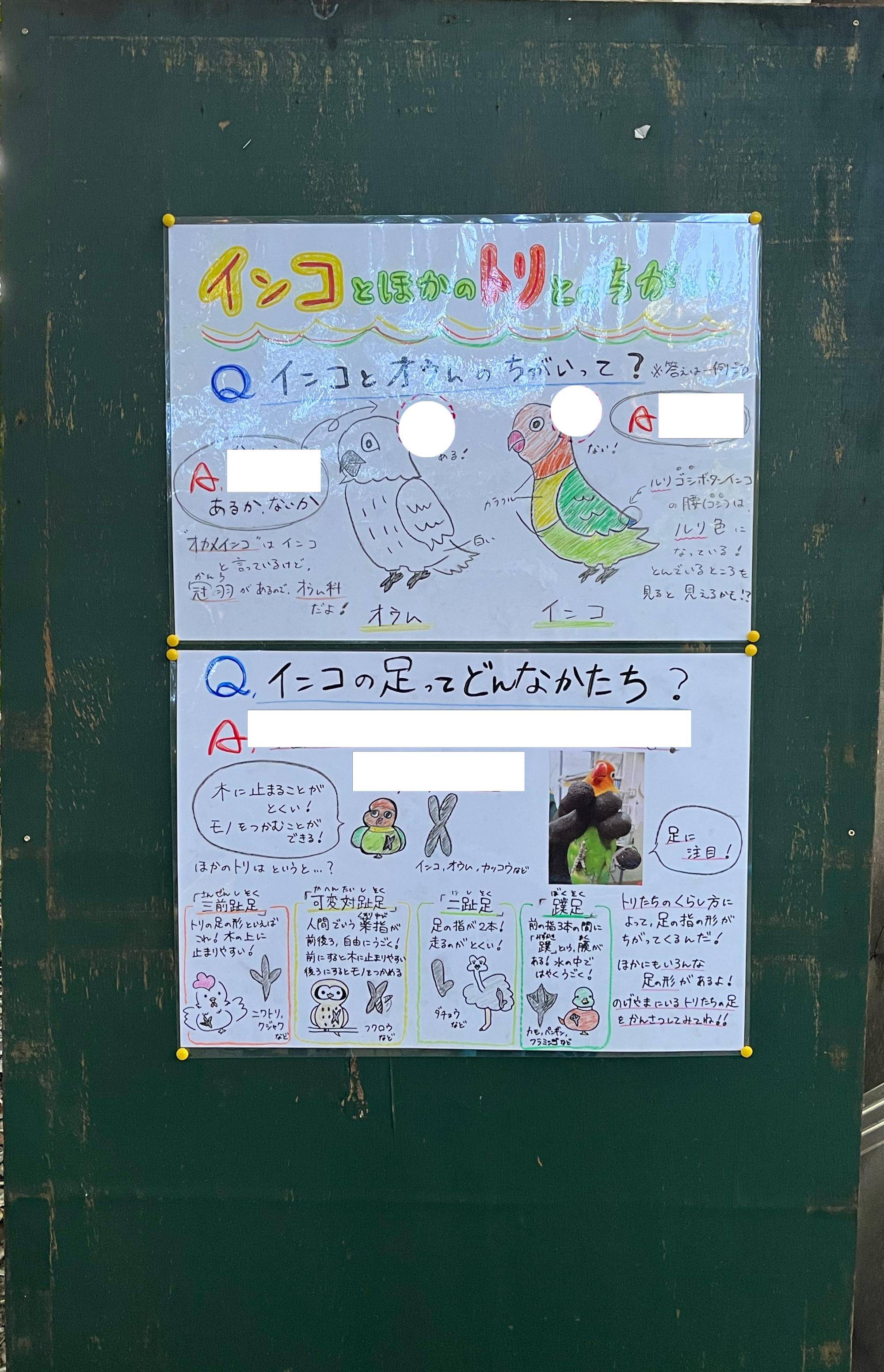 インコ看板近め.jpg