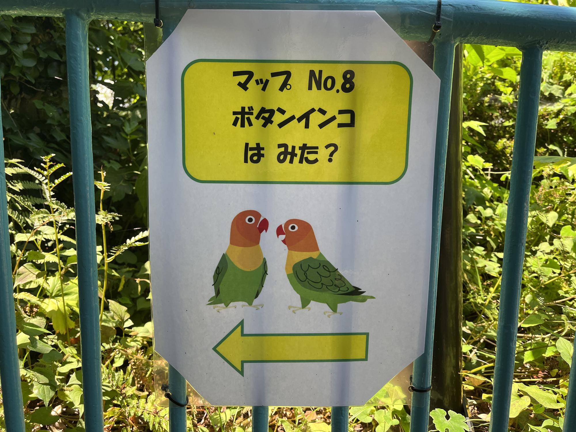 インコ張り紙.jpg