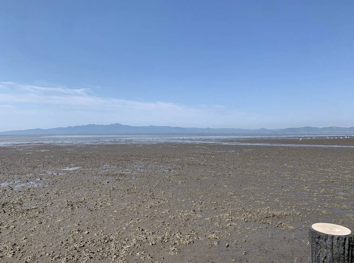 東よか干潟 干満差は日本一.jpeg