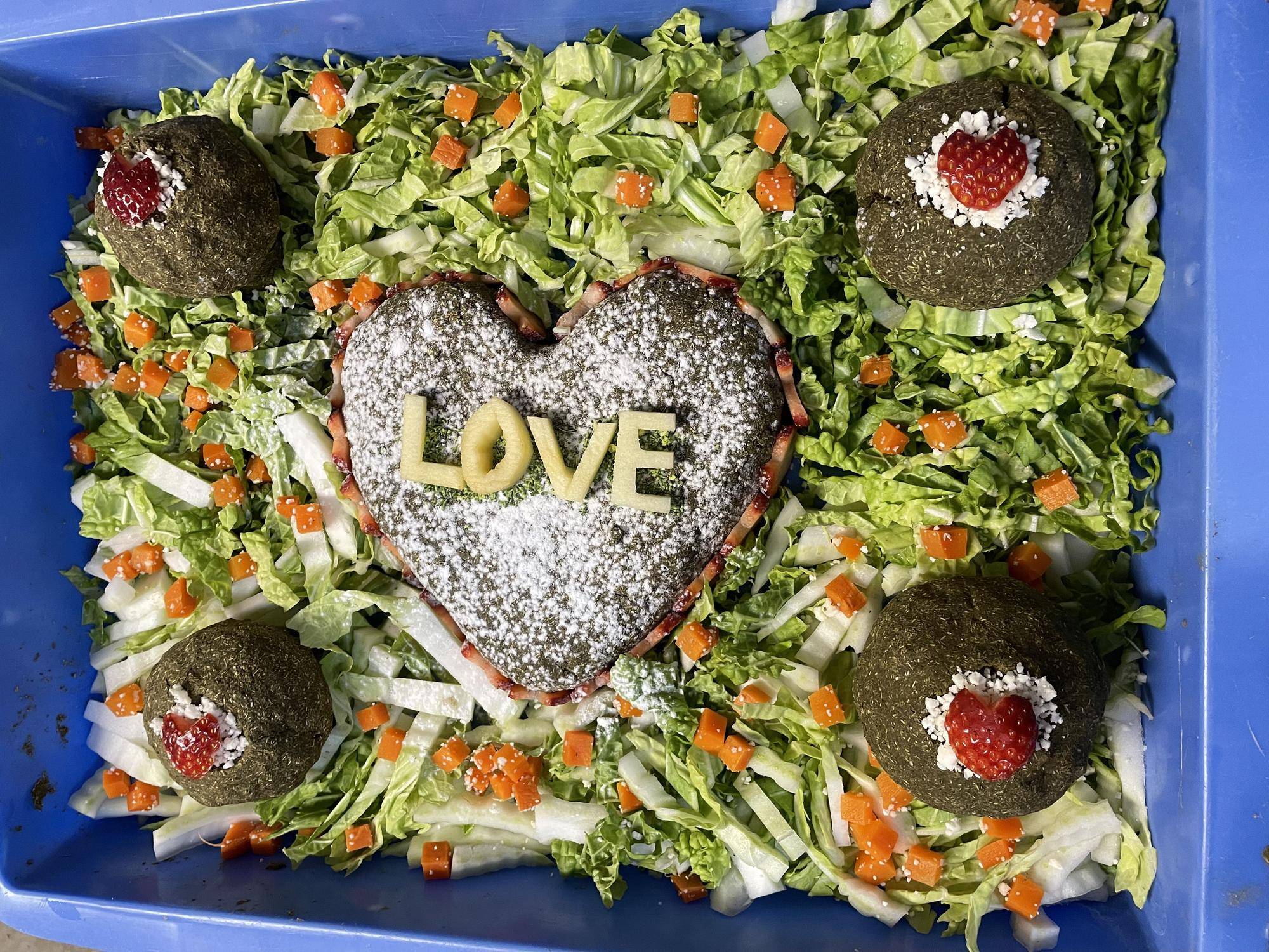 スマホ撮影 (1).jpeg