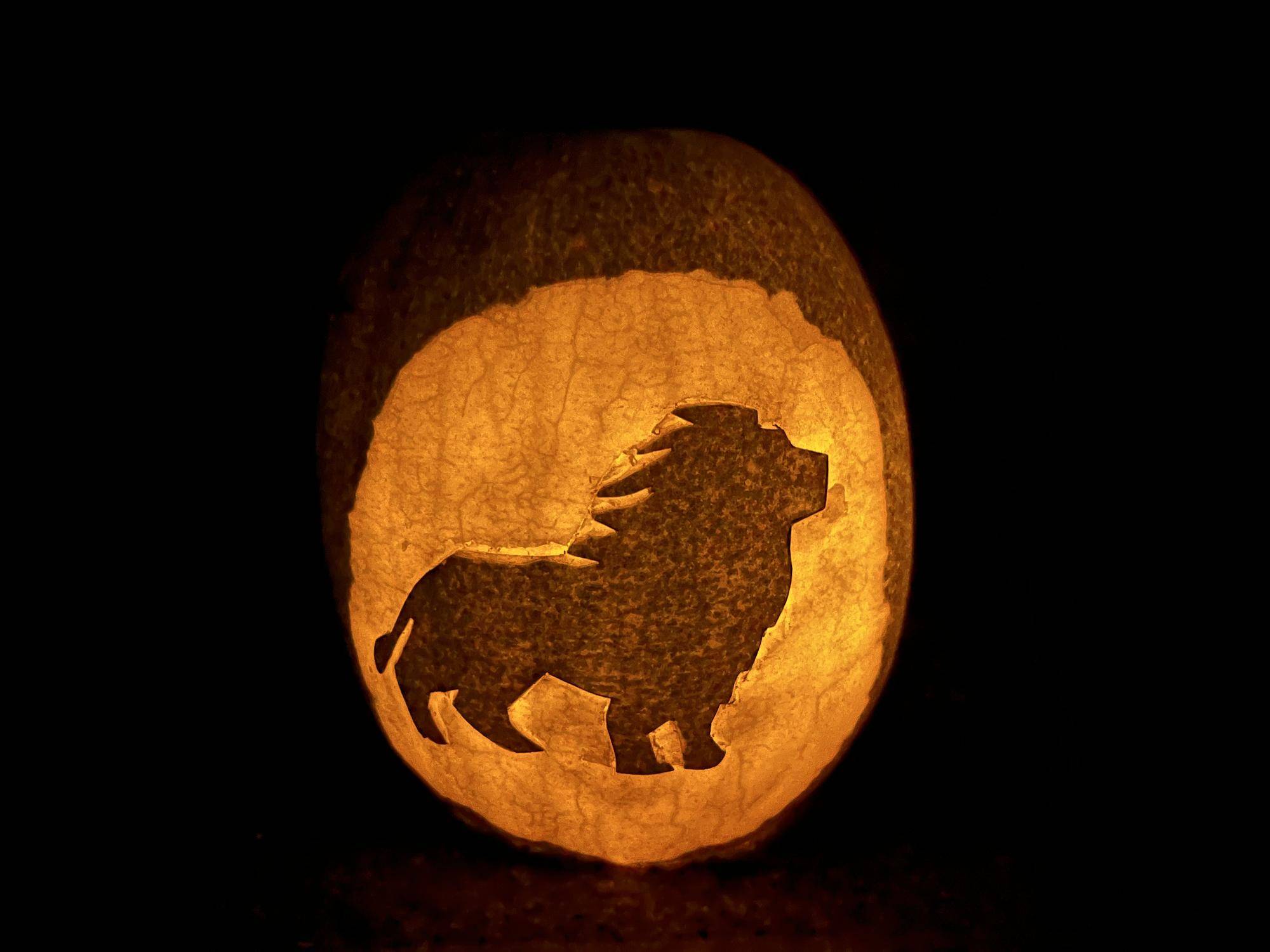 冬瓜ランタン ライオン.jpg