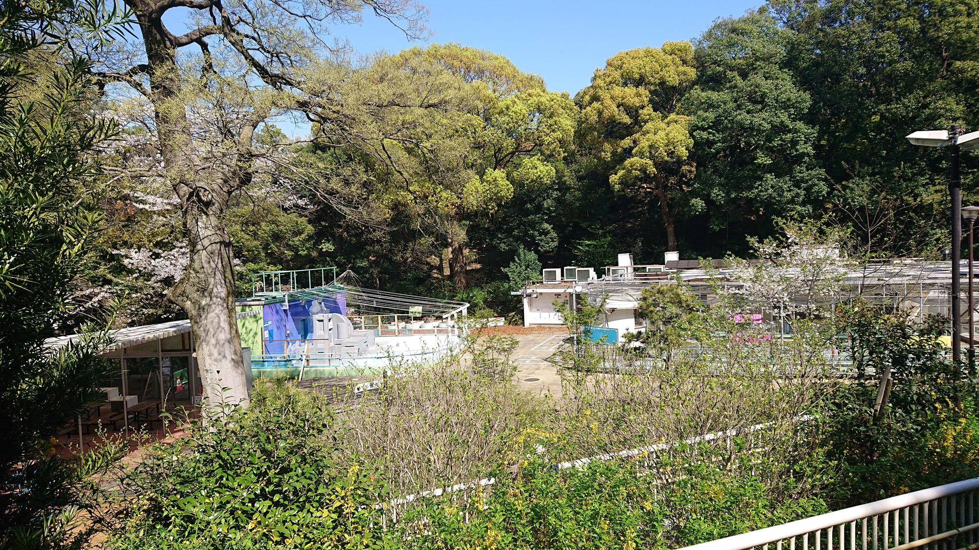 スロープから眺める景色.jpg