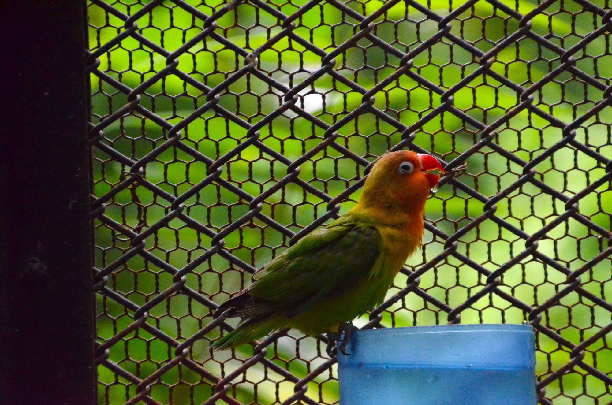 DSC_1930.jpg