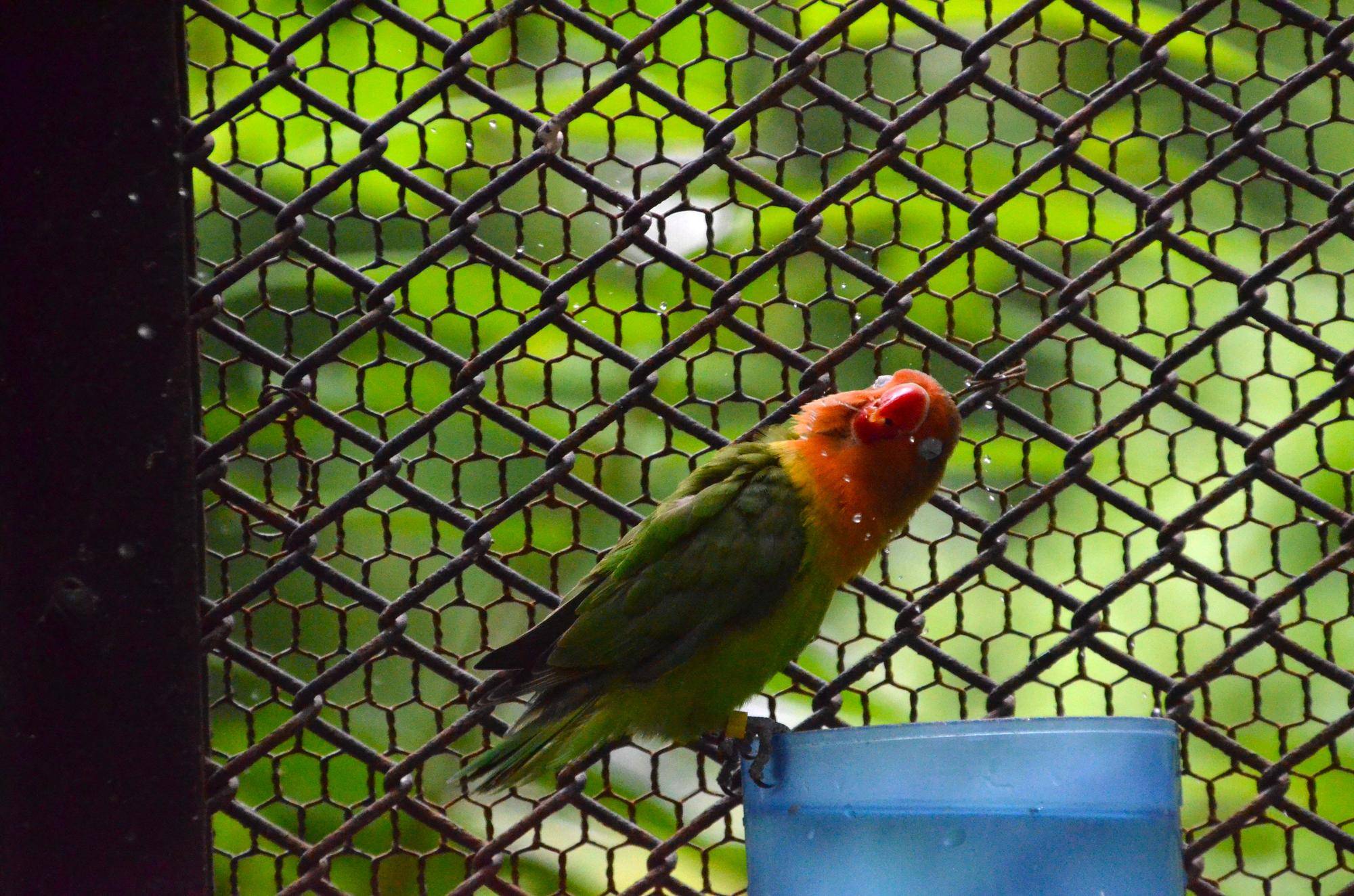DSC_1931.jpg