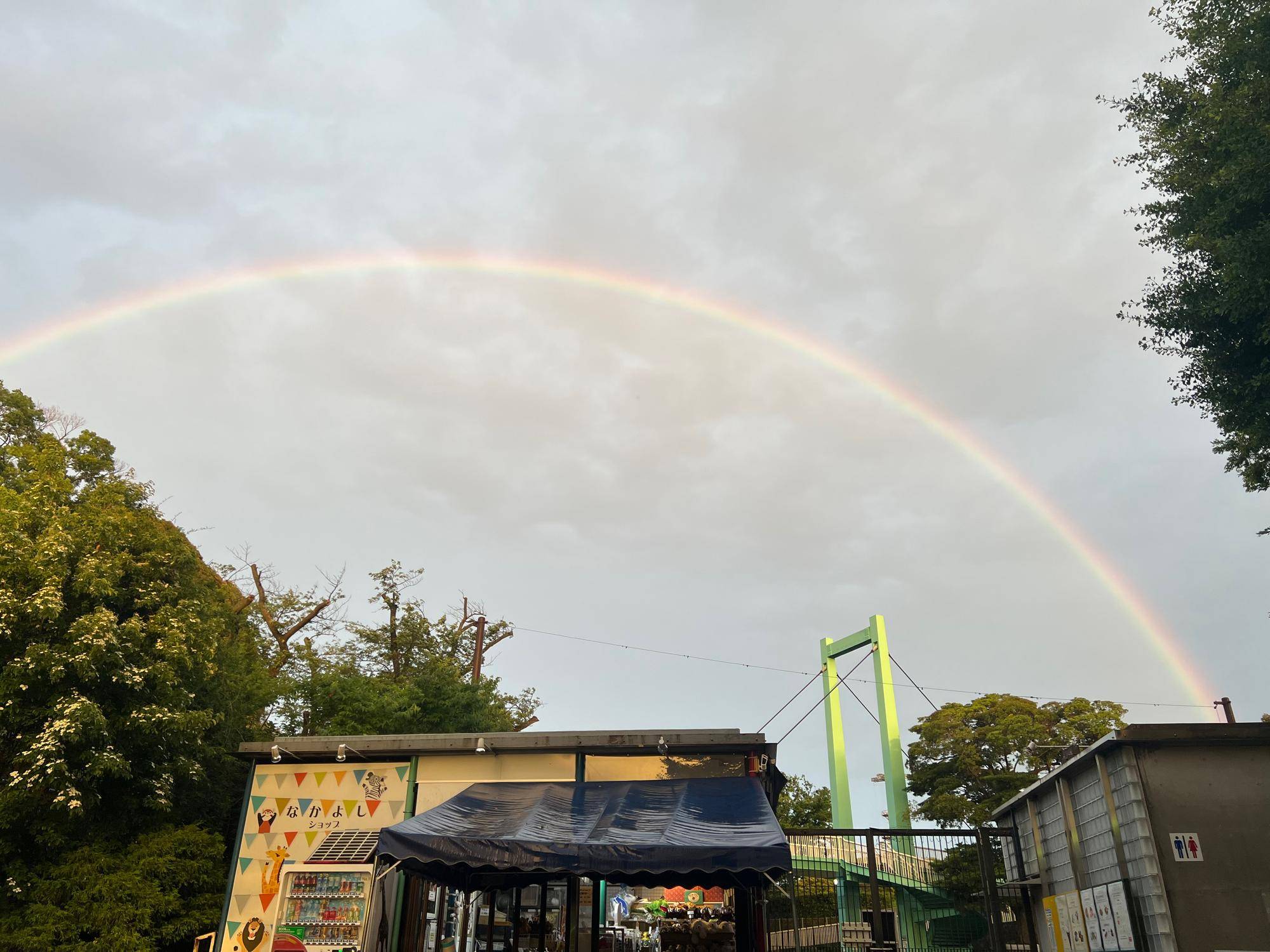 入園口から見えた虹.jpeg