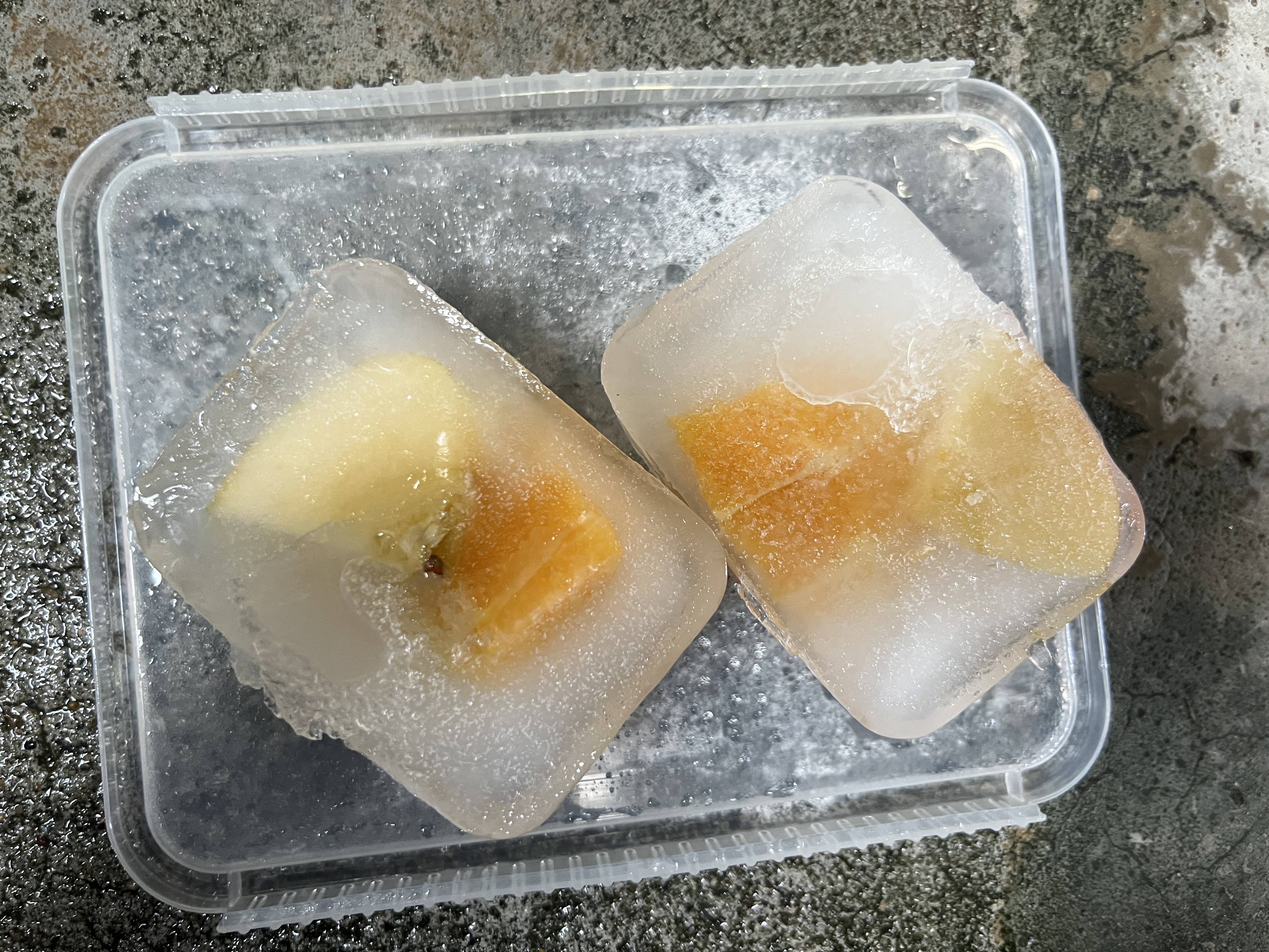 ①餌入りの氷.jpg