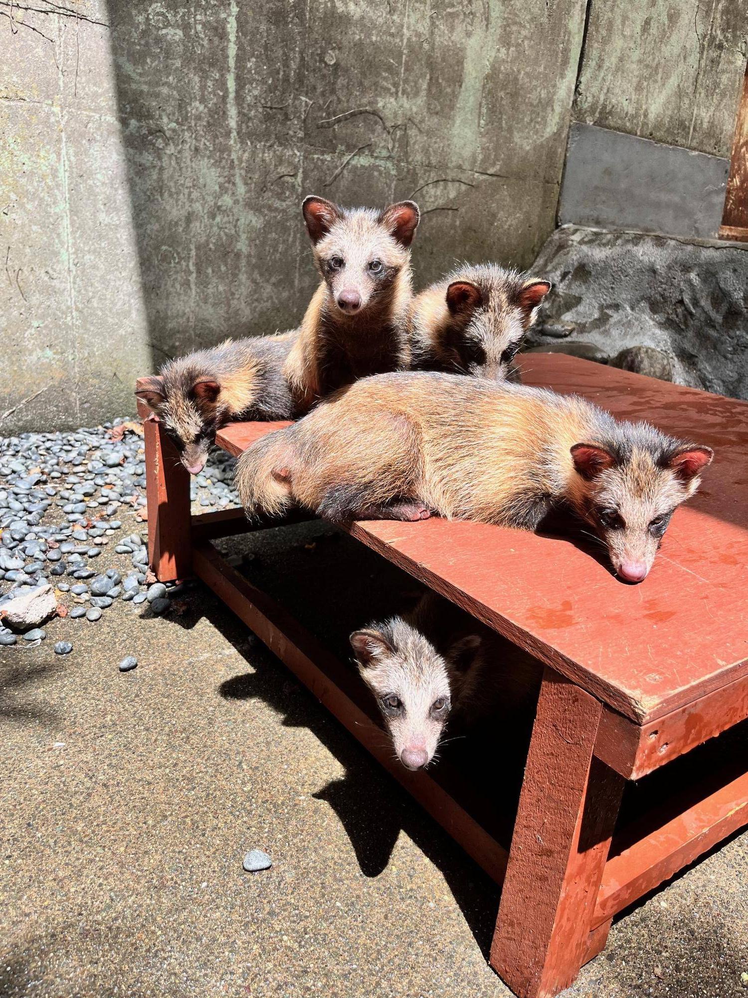 夏の日差しでひなたぼっこ...