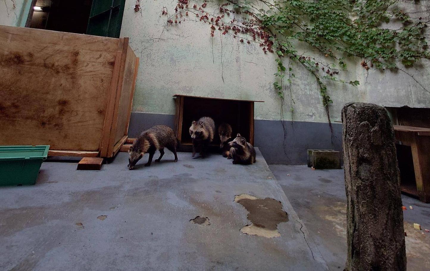 飼育員を気にしなくなってきた頃