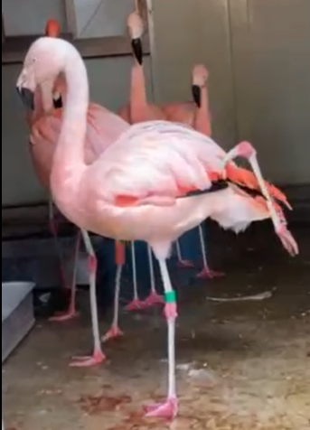 スクリーンショット 2024-11-20 121649.png