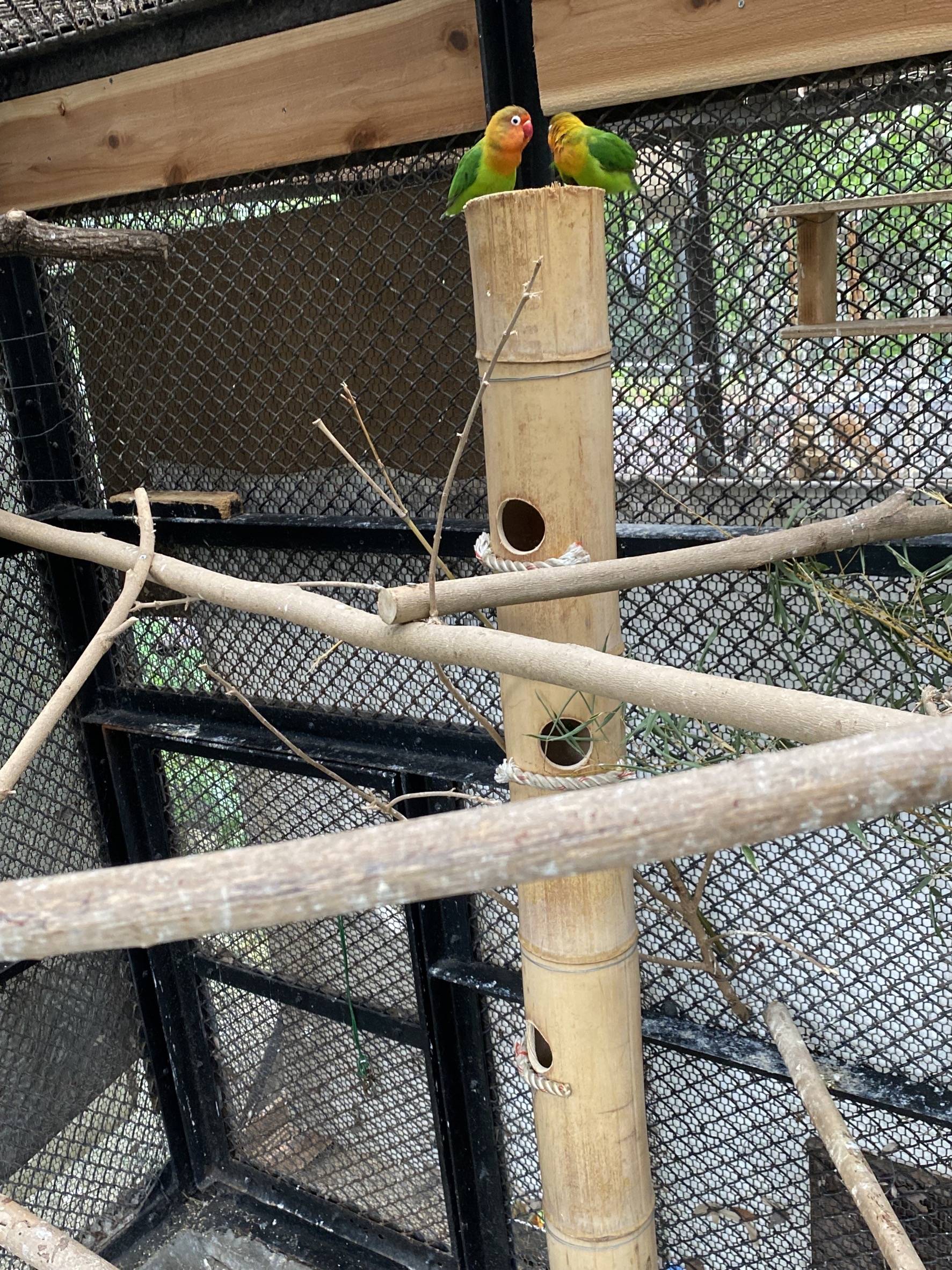 竹のお家　縦 (2).jpg